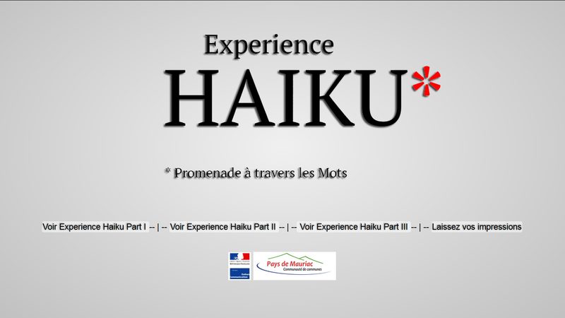 logo_haiku